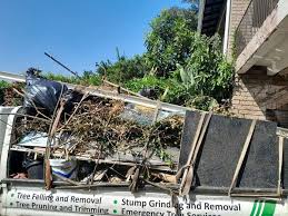 Best Basement Cleanout  in Salinas, CA